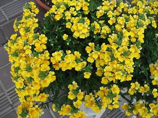 元気のみなもと 思いつくままに