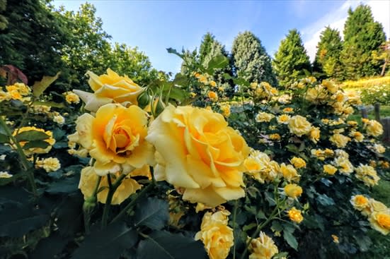 R_20180601CKJEE2188.jpg