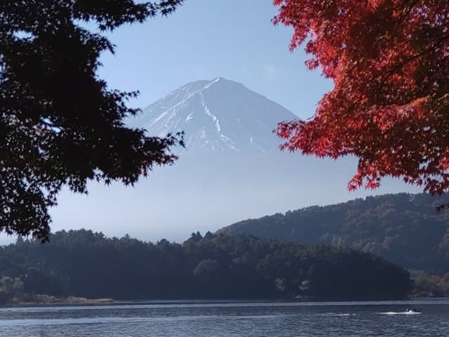【河口湖】～ 富士山/３６５日 ～ №３