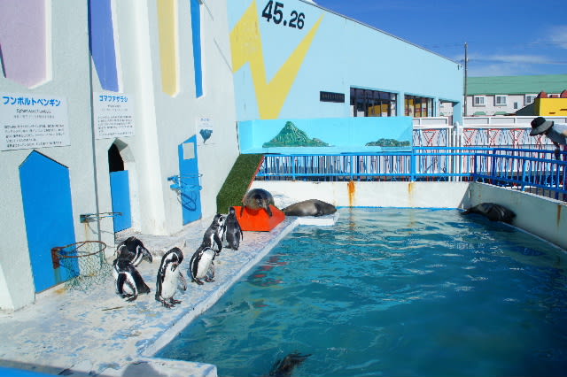 稚内ノシャップ寒流水族館 その1 気ままなzoo 稚内ノシャップ寒流水族館 その1 気ままなzoo