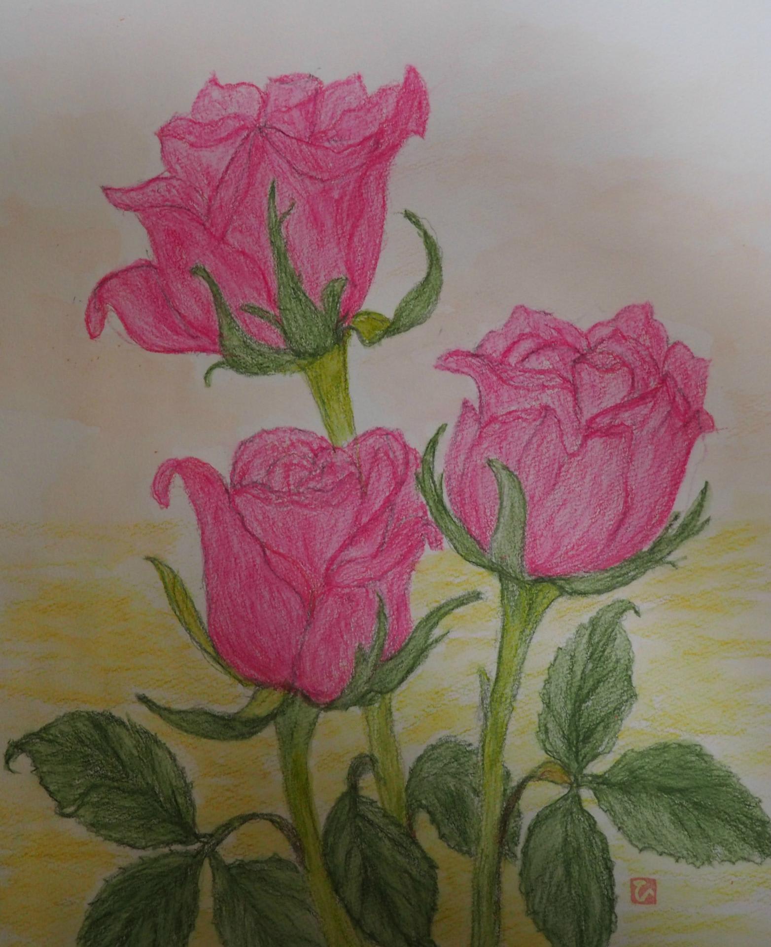 赤いバラ ひろ子の絵手紙、絵画日記
