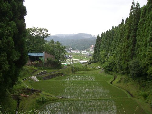 田能盆地の有名な景色です。