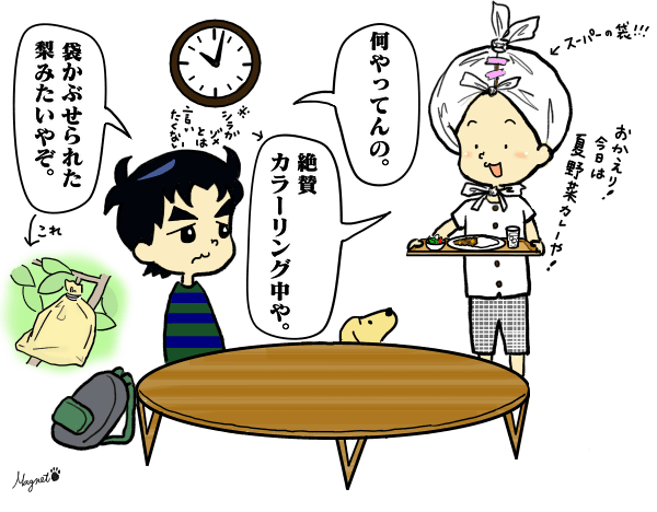 絵日記 セルフカラー マグネットへようこそ イラストと手作り紙雑貨