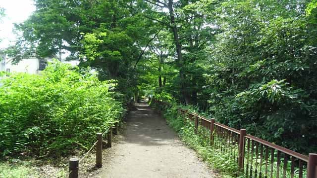 Uritobooの日本全国散策旅日記 小平市立中央公園を通って買い物に