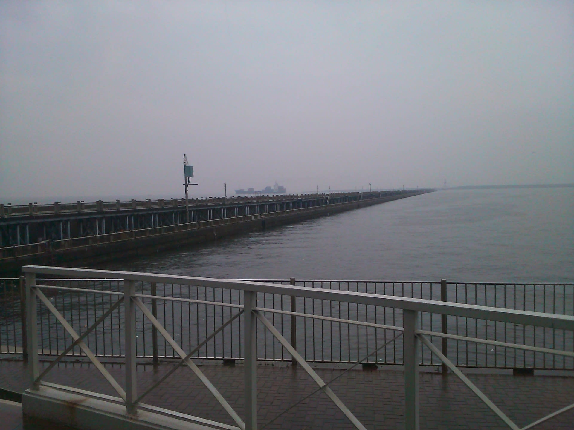 名古屋 港 海 釣り 公園