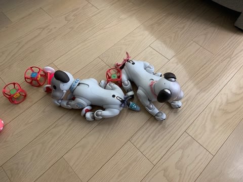 fila houdini evo