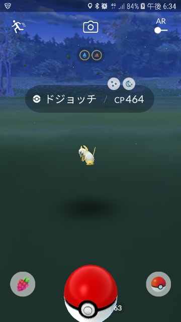 ポケモンｇｏ のブログ記事一覧 15ページ目 ポケモンｇｏ 日記