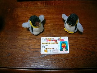 イメージ 1