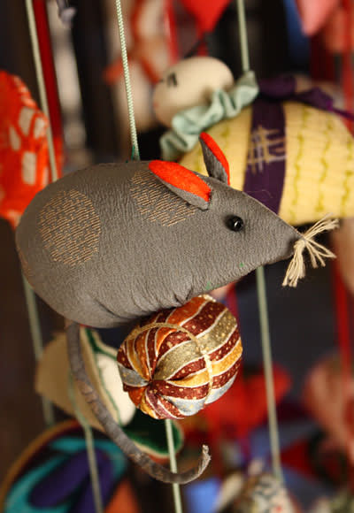 090125_mouse