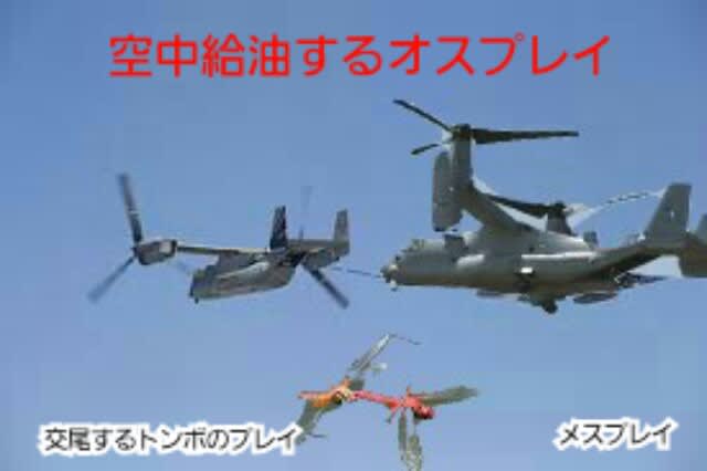 牝と雄のプレイを見せつけられる 円ジョイ師匠とセタッシーの時事ネタ