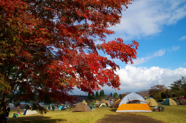 田貫湖 白糸の滝の紅葉 まちとも こころのおもむくままに 田貫湖 白糸の滝の紅葉 まちとも こころのおもむくままに