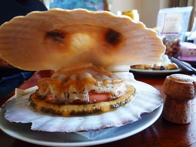 巨大ホタテ貝 楽しく生きる あなたに和みのひとときを 巨大ホタテ貝 楽しく生きる あなたに和みのひとときを