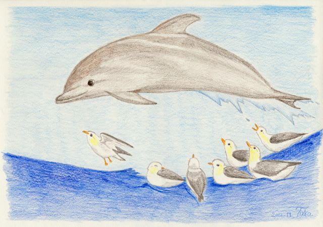 過去のイラスト のブログ記事一覧 鳥好きの気紛れブログ