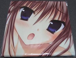 はつゆきさくら 小坂井綾 東雲希グッズ 14年4月購入分 こばとの独り言 はつゆきさくら 小坂井綾 東雲希グッズ 14年4月購入分 こばとの独り言