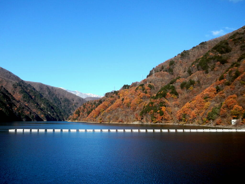 紅葉・黄葉　　の画像