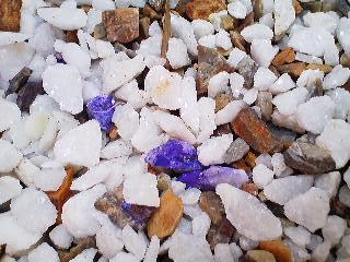 紫の石 しゃめぶろ