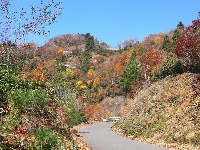 紅葉ドライブ おにゅう峠 江若国境尾根 12 11 12 月 晴れ かおりと山のあなたの空とおく 紅葉ドライブ おにゅう峠 江若国境尾根 12 11 12 月 晴れ かおりと山のあなたの空とおく
