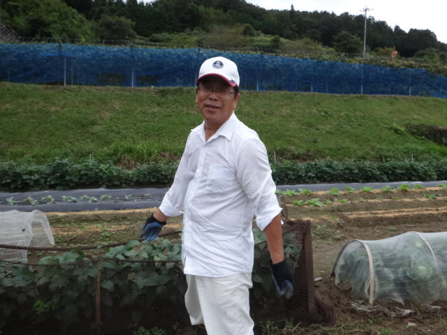 ９月１８日野菜の成長著しい 農家のおじさんの日々の生活