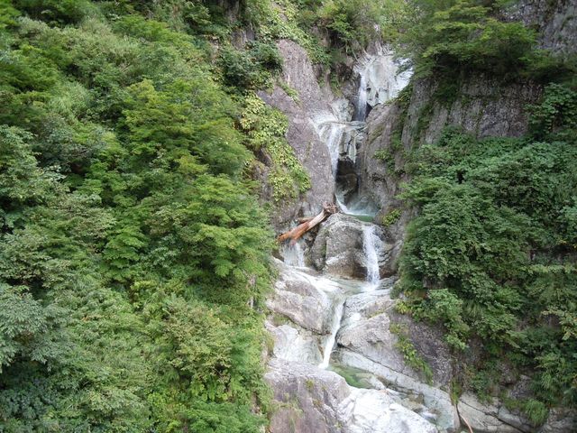 2016-白山-0487.jpg