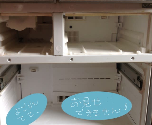 冷蔵庫エラー表示、H71～修理報告(直りました) - 小さな苔たち 