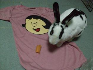 早速ジャイ子ｔシャツ タイ移住計画 タイ移住日記