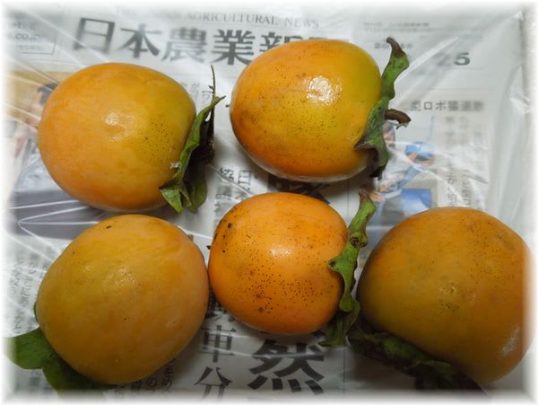 柿