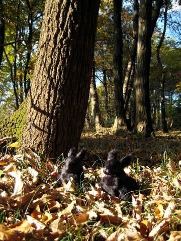 Usalocationautumn