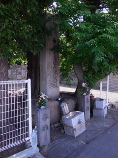 塔D