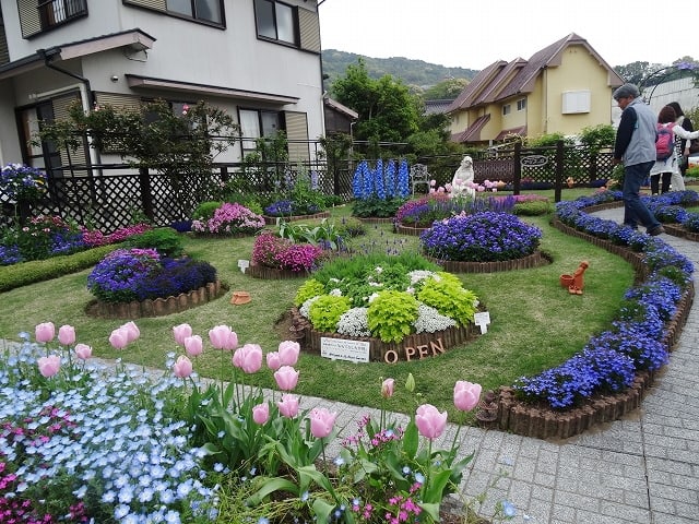 オープンガーデン熊野 アリスの庭 花 の よもやま話