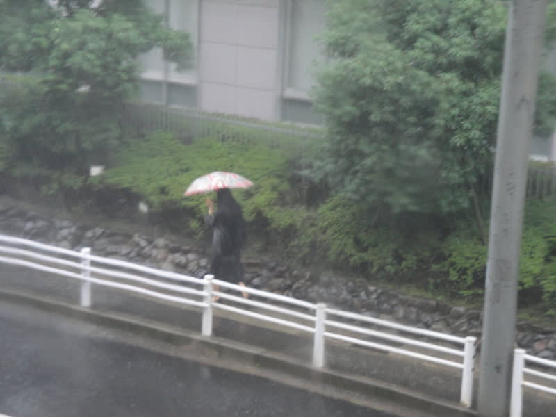 過ぎたるは及ばざるが如し Kona Wind 南の風 Ibs学院長 南 徹ブログ