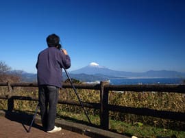 日本平の山頂吟望台から見る富士山
