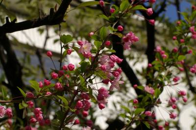 Photo_7