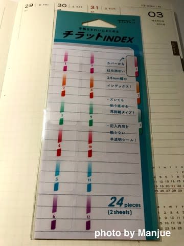 19 仕事ノート に チラットindex Midori はぴったり 手帳なわたし