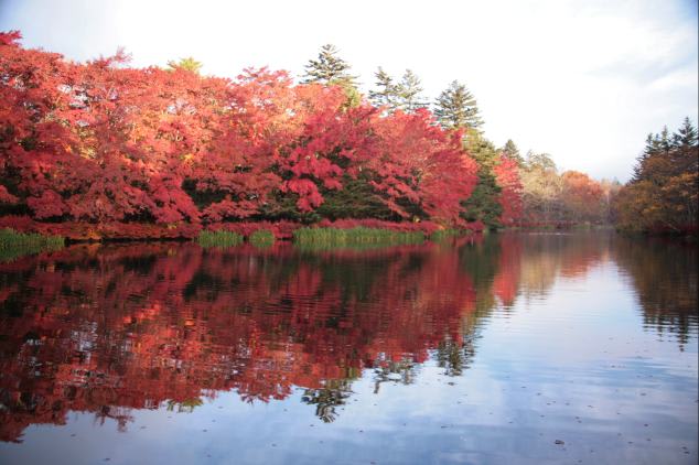 濃紅の湖と赤朽葉色の湖を結ぶ櫨染色の山 Picture Poem Of Seventeen