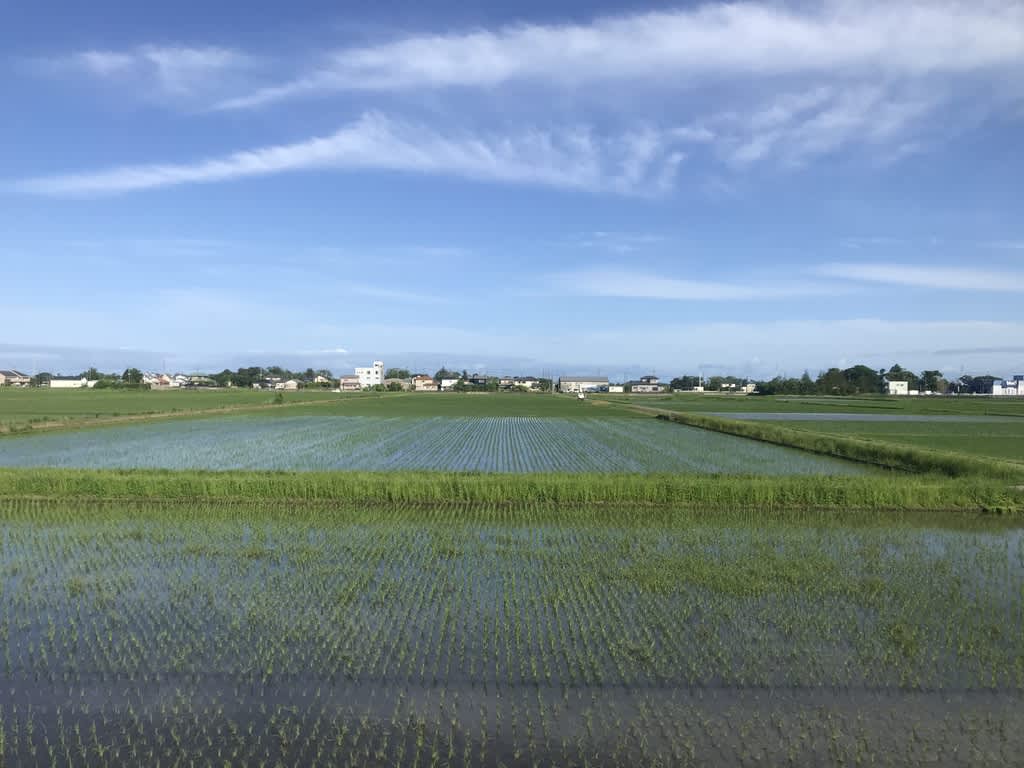 車窓は田園風景 カメラはいつもポケットに ー 車窓は田園風景 カメラはいつもポケットに ー