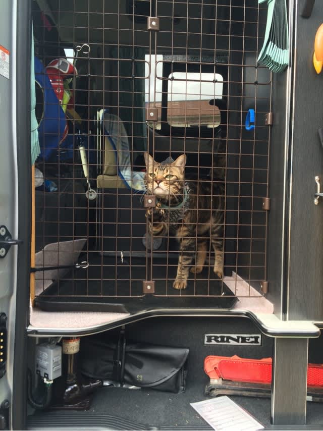 猫仕様 その2 飛び出し防止柵 - お出掛け猫と キャンピング ハイエース