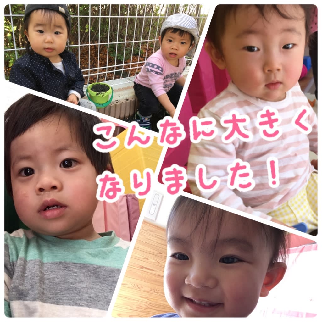 ぷりん組成長記録 3月 1年間のまとめ編 保育園 ゆいまあむ ぷりん組成長記録 3月 1年間のまとめ編 保育園 ゆいまあむ