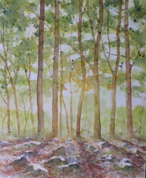 絵「森の朝」（完） - 水彩・絵Ｓａｙ集「光と風と野草ちゃん♪」