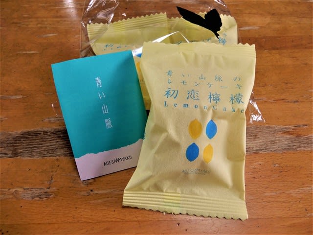 ２０１９ ４ ８ 恵那 川上屋の青い山脈のレモンケーキ初恋檸檬 今日のころころこころ