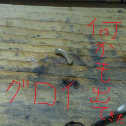 つぶ貝には毒があるって知っていた 処理の仕方 今日の料理 こだわりがないのがこだわり つぶ貝には毒があるって知っていた 処理の仕方 今日の料理 こだわりがないのがこだわり