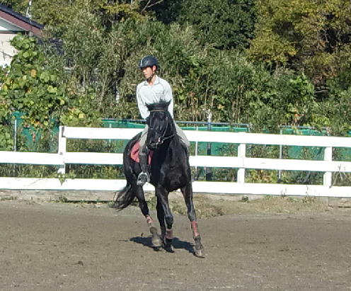 競馬学校・騎手・厩務員受験サポート、牧場・乗馬クラブ就職 馬の学校 『アニマル・ベジテイション・カレッジ』 リレーブログ