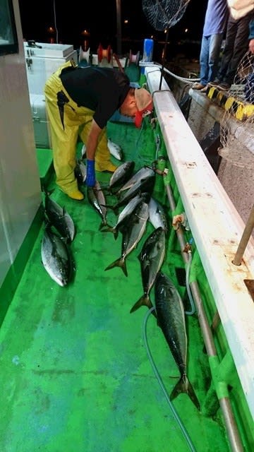 余別沖18夜ブリ釣り釣果報告ｎｏ２ 柳さんの北海道海釣り日誌