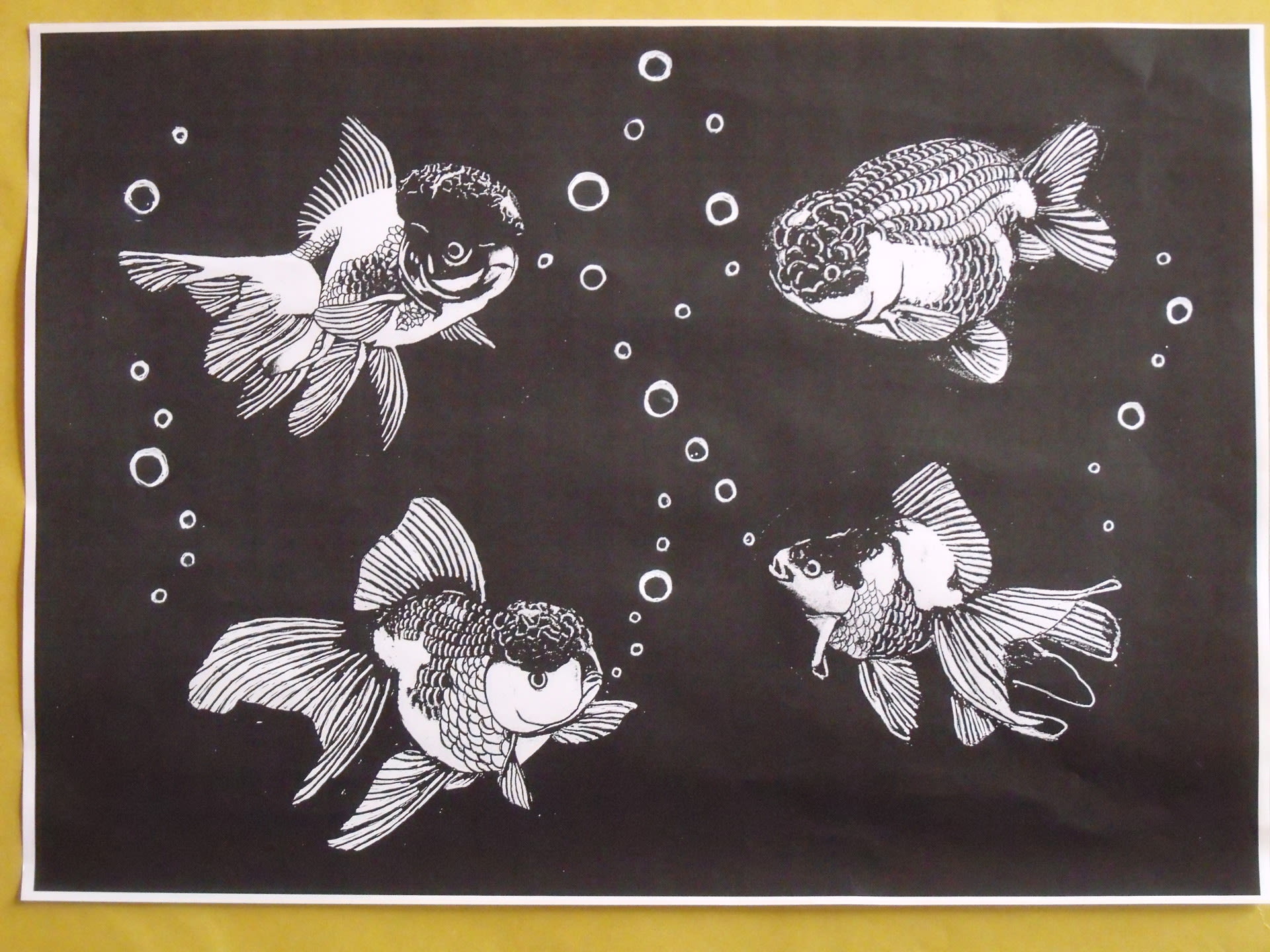 金魚のお仲間 やあ元気 モーリの切り絵を楽しむ