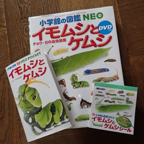そうだ ぐんま昆虫の森 行こう 鈴木海花の 虫目で歩けば そうだ ぐんま昆虫の森 行こう 鈴木海花の 虫目で歩けば