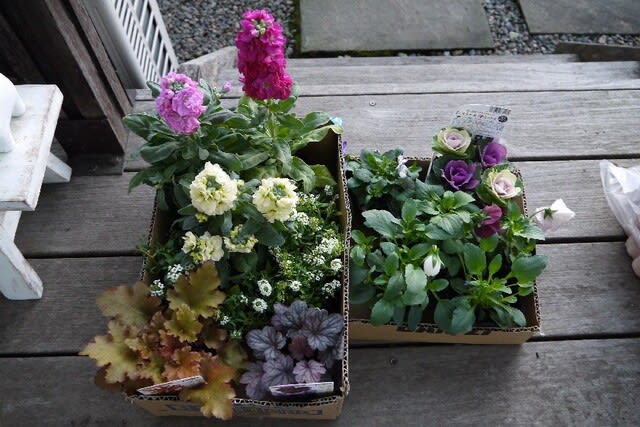 新しい花壇 のんびり ゆったり