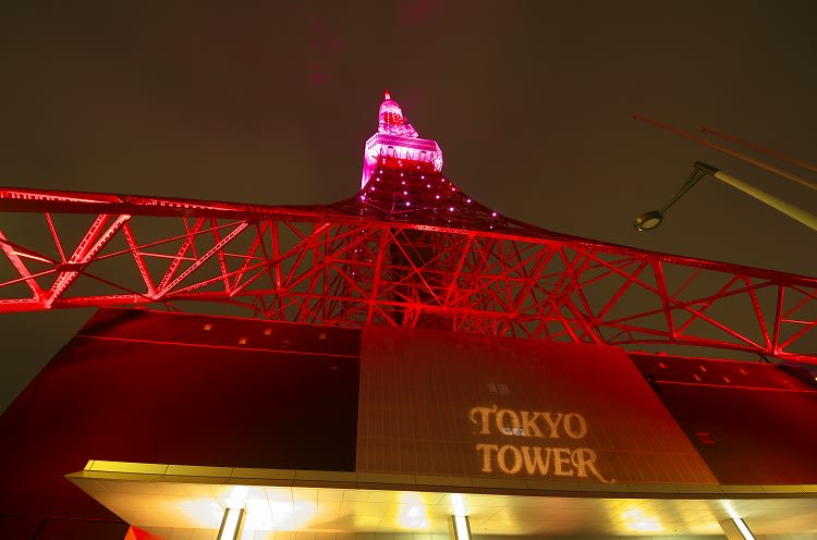 ピンクリボン東京タワー 2014 - 初心者の写真+