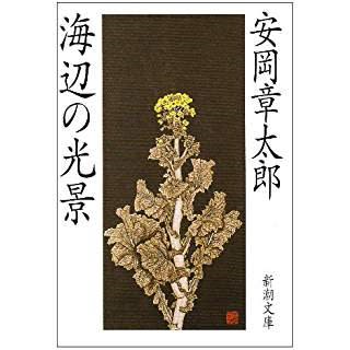 安岡章太郎 海辺の光景 新潮文庫 山本藤光の 人間力 養成講座 安岡章太郎 海辺の光景 新潮文庫 山本藤光の 人間力 養成講座