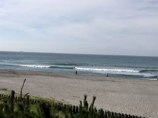 波情報/FiLTeR SURF ROOM RESULT - grassgreen SURF GARAGE