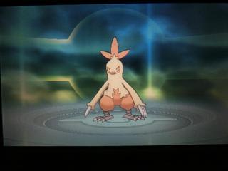 たなっぺのポケモンレポート オメガルビー アルファサファイア編第3回 キンセツジムまで たなっぺのあーだこーだ たなっぺのポケモンレポート オメガルビー アルファサファイア編第3回 キンセツジムまで たなっぺのあーだこーだ