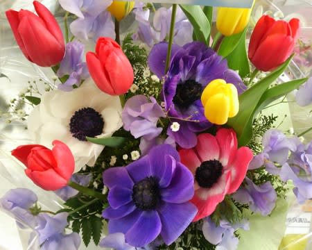 ５月２４日 明日の誕生花 ゆかりの花 花言葉は O 海の街のお花屋さん 愛知県 知多半島 南知多町 内海 豊浜 内海生花 花大の日記